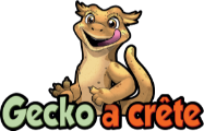 geckoacrete